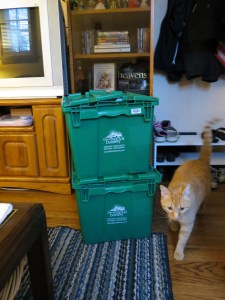 Fitz had to check it all out too