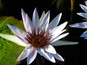 10577087_10203811439263201_7585342355479212947_n