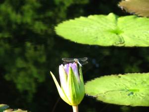 10574439_10203811439823215_1432394880848187803_n